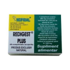 Redigest Plus Hofigal 40 comprimate Concentratie 1200 mg