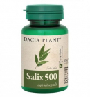 Salix 500 Dacia Plant 60 comprimate Concentratie 289 mg