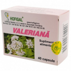 Valeriana Hofigal 40 capsule Concentratie 300 mg
