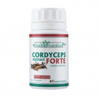 Cordyceps Extract Forte Health Nutrition Cantitate 60 capsule