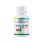 Multivitamine si Minerale Health Nutrition Cantitate 120 capsule