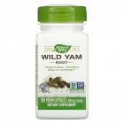 Wild Yam Root Natures Way 100 capsule Secom Concentratie 100 capsule