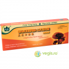 Ganoderma 2000mg 10fiole 10ml