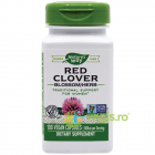 Red Clover Trifoi rosu 100cps Secom