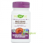 Reishi Ganoderma Lucidum 100cps Secom