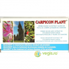 Carpicon Plant Supozitoare cu Extract Uleios de Pufulita Ghimpe si Ras