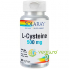 L CYSTEINE 500MG 30cps L Cisteina Secom