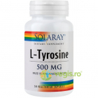 L Tyrosine L Tirozina 500mg 50cps vegetale Secom