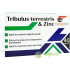 Tribulus Terrestris si Zinc 40cps