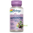 Mangosteen Mangostan Extract 500mg 60cps Secom