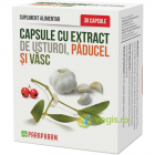 Capsule Cu Extract De Usturoi Paducel Vasc 30cps