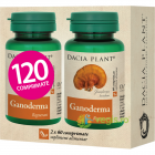 Pachet Ganoderma 60cpr 60cpr