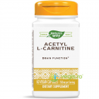 Acetyl L Carnitine Acetil L Carnitina 500mg 60cps Secom