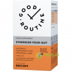 Synergize Your Gut 30cps Secom