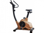 Bicicleta fitness magnetica FitTronic 601B Gold