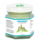 Unguent cu tataneasa 45ml Bios Mineral Plant