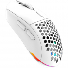 Mouse Gaming T G A Alpha Iluminare RGB