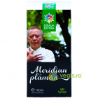 Tinctura Meridian Plaman 100ml