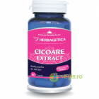 Cicoare Extract 60Cps