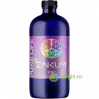 Zinc Nanocoloidal M ZINKUM 25ppm 480ml