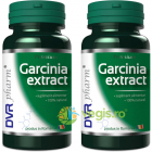 Garcinia Extract 60cps 60cps