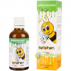 Apiphen Apiimunoprotect 50ml