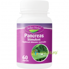 Pancreas Stimulent 60cps