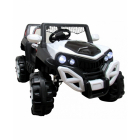 Masinuta electrica cu telecomanda si functie de balansare 4 x 4 Buggy 