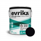 Email alchidic Evrika S5002 pentru metal lemn zidarie interior exterio
