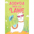 Jucarie Educativa Agenda mea cu Lame