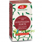 Fitotensin Forte C47 63cps