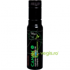 Ulei de Canepa Cu Busuioc Ecologic Bio 100ml