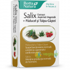 Salix Extract Paducel si Talpa Gastei 30cps