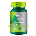 Drojdie de Bere Brewer s Yeast 90tb