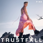 Trustfall Vinyl