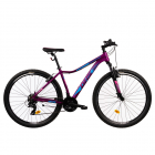 Bicicleta Mtb Terrana 2922 29 Inch M Violet