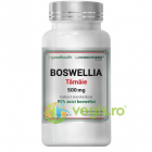 Boswellia Serrata Tamaie 500mg 60cps