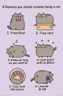 Poster Pusheen Reasons to Be a Cat