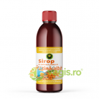 Sirop de Catina 500ml