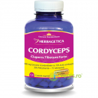 Cordyceps Ciuperca Tibetana Forte 120cps