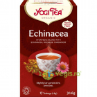 Ceai Echinacea Ecologic Bio 17dz