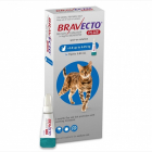 Pipeta deparazitare interna externa Bravecto Plus Spot On 250 mg pisic