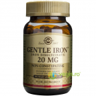 Gentle Iron Fier 20mg 90cps