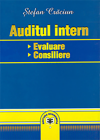 Auditul intern evaluare consiliere