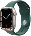NextOne Sport Band pentru Apple Watch 42 44 45mm Pine Green