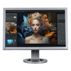 EIZO FlexScan S2433W 24 LCD 1920 x 1200 Full HD 16 10 displayport negr