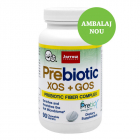 Prebiotics XOS GOS Jarrow Formulas 90 tablete masticabile