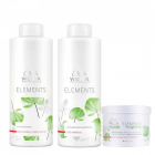 Set pentru par normal Wella Professionals Elements Renewing Sampon 100