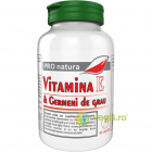 Vitamina E si Germeni de Grau 90cps