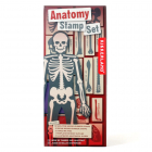 Set stampile Anatomy Stamp Set